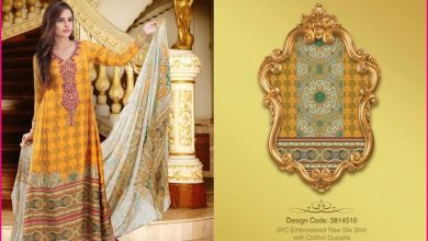 Warda Latest Fall Winter Christmas Dresses Collection 30 2PC Embroidered Raw Silk With Shafoon Dupatta-3