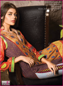 Asim Jofadynamic embroidered panel For Womens And Girls