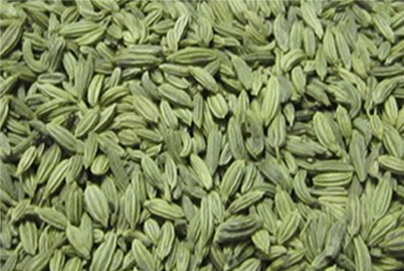 Fennel Seeds For Green