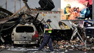 American Race Attack Injures Three Men in California 28 31A2D8C300000578 0 image a 19 1456632944002