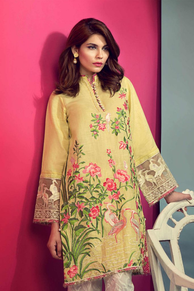 Mandarin Pakistani Dress Design