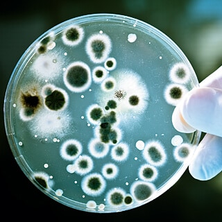 Against Microorganisms Contamination