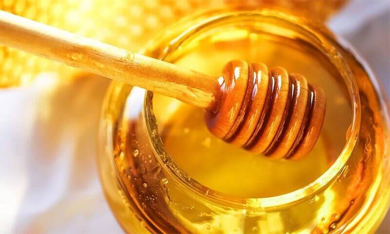 Daily use of Honey and cinnamon for better Health